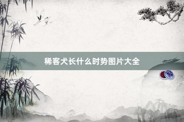 稀客犬长什么时势图片大全